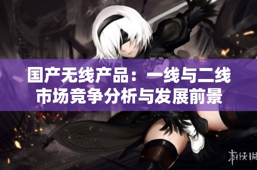 国产无线产品：一线与二线市场竞争分析与发展前景