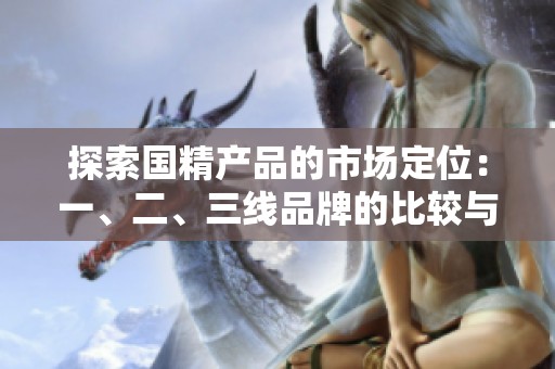 探索国精产品的市场定位：一、二、三线品牌的比较与分析