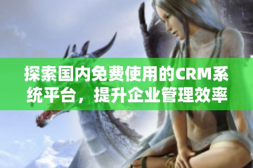 探索国内免费使用的CRM系统平台，提升企业管理效率