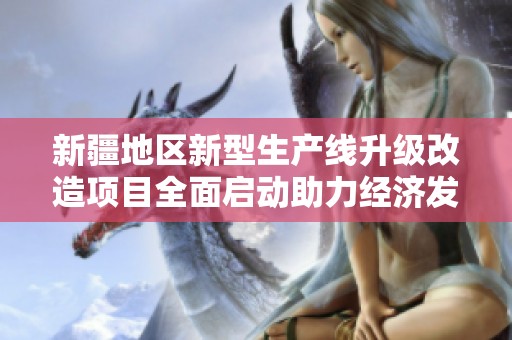 新疆地区新型生产线升级改造项目全面启动助力经济发展