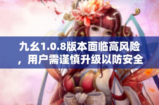 九幺1.0.8版本面临高风险，用户需谨慎升级以防安全隐患