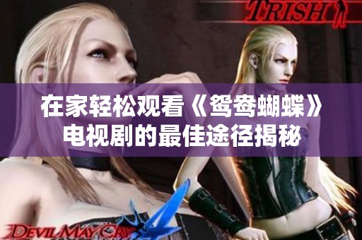 在家轻松观看《鸳鸯蝴蝶》电视剧的最佳途径揭秘