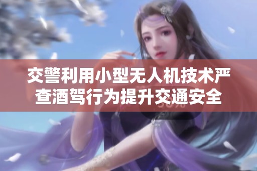 交警利用小型无人机技术严查酒驾行为提升交通安全