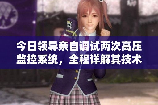 今日领导亲自调试两次高压监控系统，全程详解其技术难点