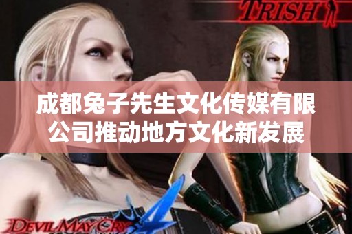 成都兔子先生文化传媒有限公司推动地方文化新发展