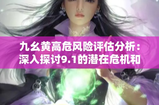 九幺黄高危风险评估分析：深入探讨9.1的潜在危机和应对措施