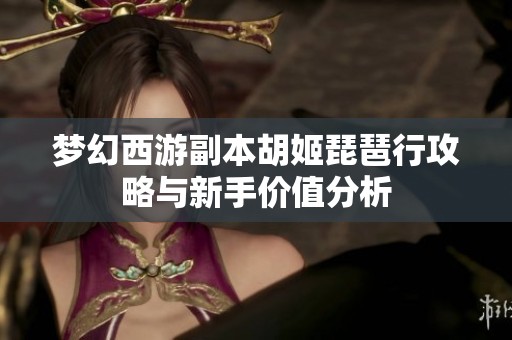 梦幻西游副本胡姬琵琶行攻略与新手价值分析
