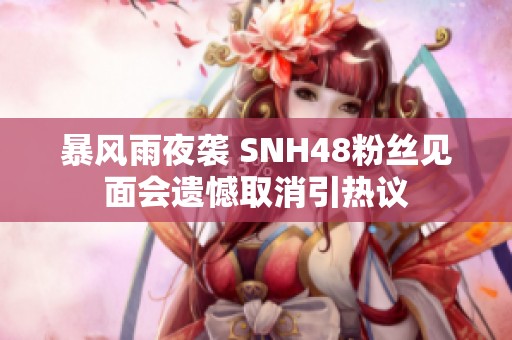 暴风雨夜袭 SNH48粉丝见面会遗憾取消引热议