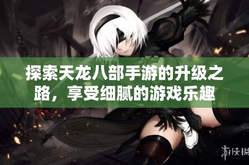 探索天龙八部手游的升级之路，享受细腻的游戏乐趣