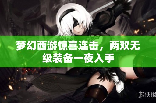 梦幻西游惊喜连击，两双无级装备一夜入手