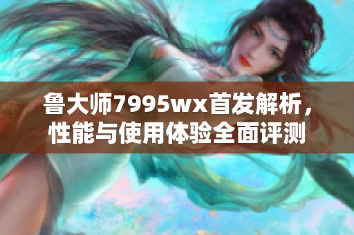 鲁大师7995wx首发解析，性能与使用体验全面评测