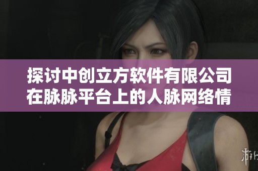探讨中创立方软件有限公司在脉脉平台上的人脉网络情况