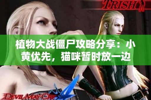 植物大战僵尸攻略分享：小黄优先，猫咪暂时放一边