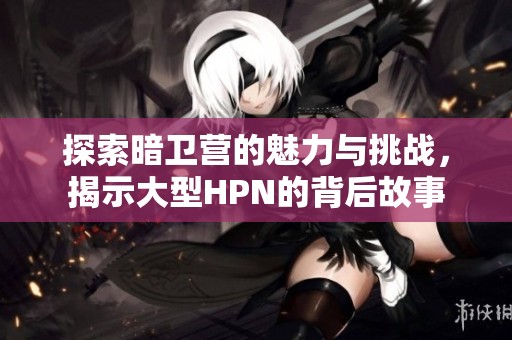 探索暗卫营的魅力与挑战，揭示大型HPN的背后故事