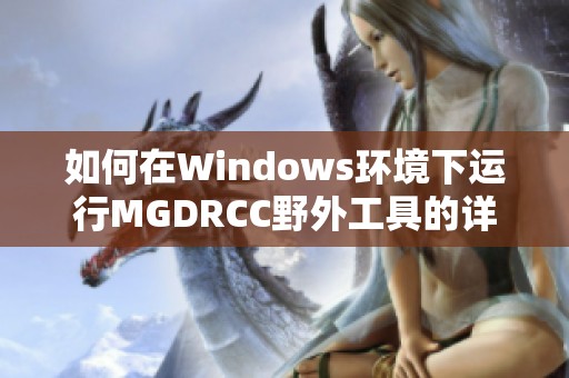 如何在Windows环境下运行MGDRCC野外工具的详细指南
