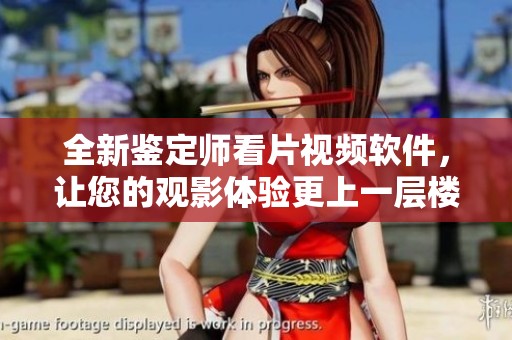 全新鉴定师看片视频软件，让您的观影体验更上一层楼