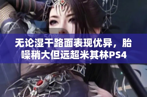 无论湿干路面表现优异，胎噪稍大但远超米其林PS4