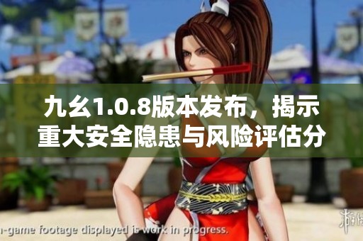九幺1.0.8版本发布，揭示重大安全隐患与风险评估分析