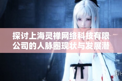 探讨上海灵禅网络科技有限公司的人脉圈现状与发展潜力