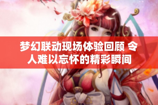 梦幻联动现场体验回顾 令人难以忘怀的精彩瞬间