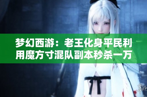 梦幻西游：老王化身平民利用魔方寸混队副本秒杀一万
