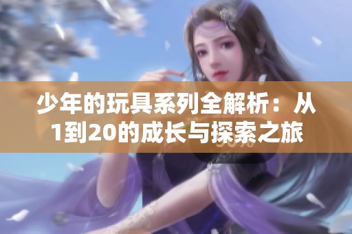 少年的玩具系列全解析：从1到20的成长与探索之旅