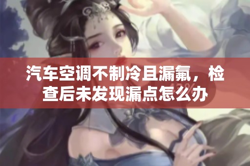 汽车空调不制冷且漏氟，检查后未发现漏点怎么办