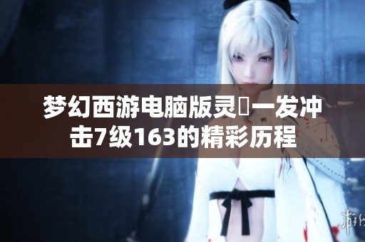 梦幻西游电脑版灵箓一发冲击7级163的精彩历程