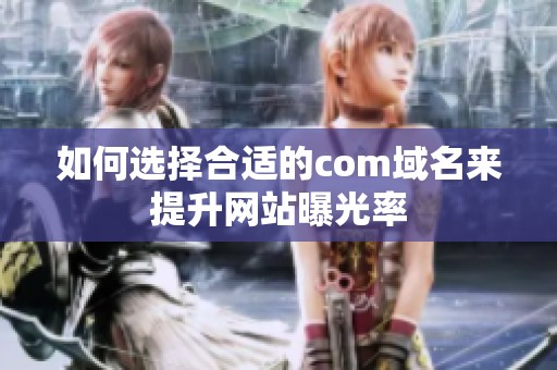 如何选择合适的com域名来提升网站曝光率