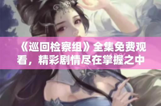 《巡回检察组》全集免费观看，精彩剧情尽在掌握之中