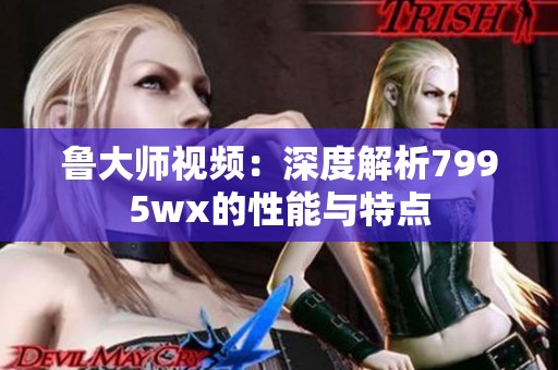 鲁大师视频：深度解析7995wx的性能与特点