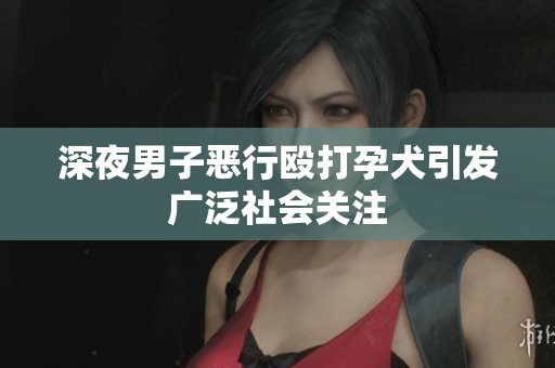 深夜男子恶行殴打孕犬引发广泛社会关注