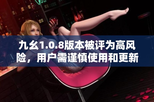 九幺1.0.8版本被评为高风险，用户需谨慎使用和更新