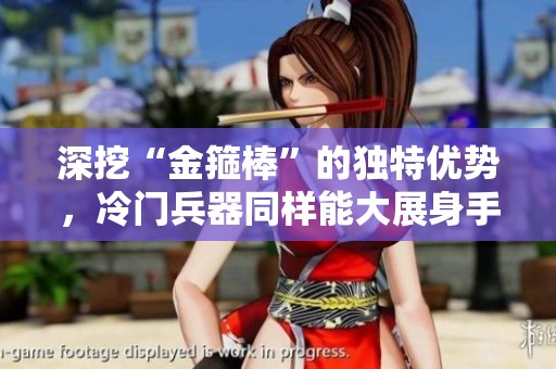 深挖“金箍棒”的独特优势，冷门兵器同样能大展身手！