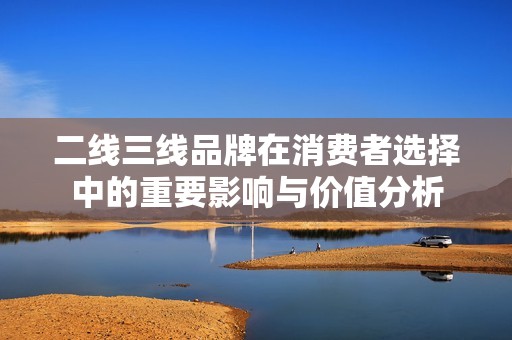 二线三线品牌在消费者选择中的重要影响与价值分析