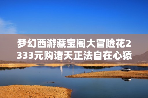梦幻西游藏宝阁大冒险花2333元购诸天正法自在心猿打书全攻略