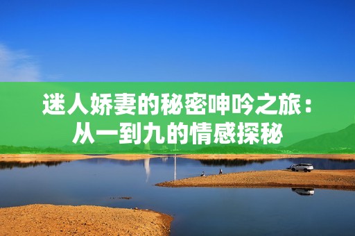 迷人娇妻的秘密呻吟之旅：从一到九的情感探秘