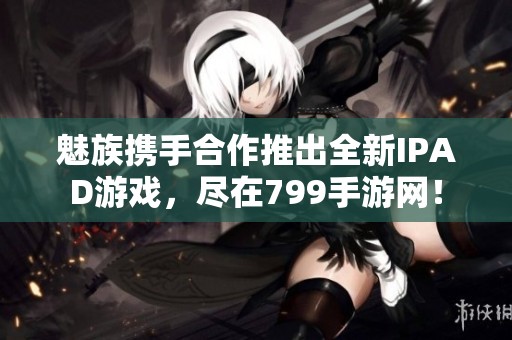 魅族携手合作推出全新IPAD游戏，尽在799手游网！