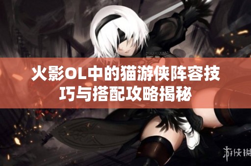火影OL中的猫游侠阵容技巧与搭配攻略揭秘