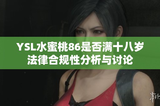 YSL水蜜桃86是否满十八岁法律合规性分析与讨论