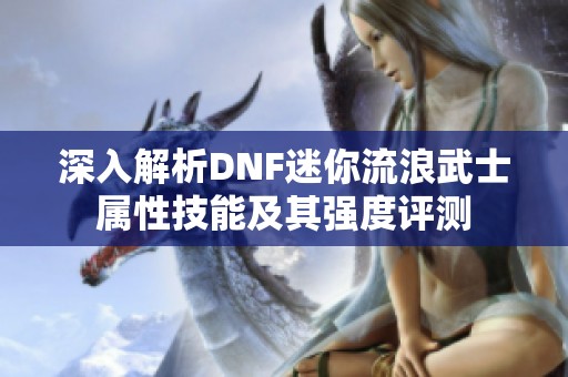 深入解析DNF迷你流浪武士属性技能及其强度评测
