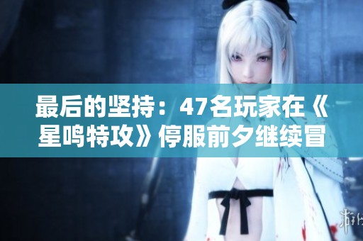 最后的坚持：47名玩家在《星鸣特攻》停服前夕继续冒险