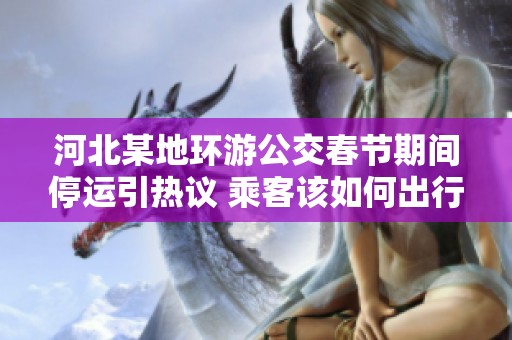 河北某地环游公交春节期间停运引热议 乘客该如何出行