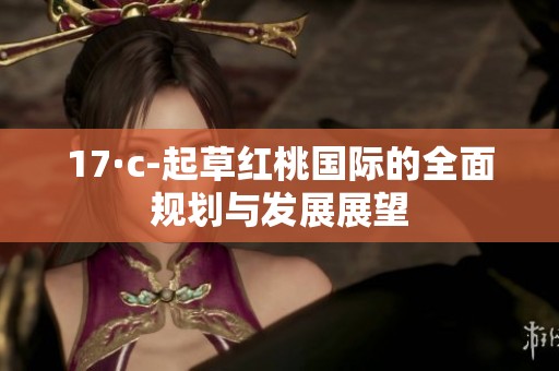 17·c-起草红桃国际的全面规划与发展展望