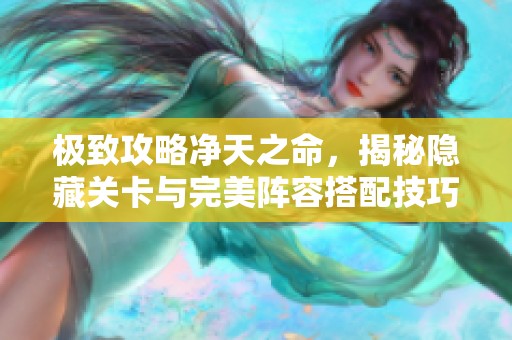 极致攻略净天之命，揭秘隐藏关卡与完美阵容搭配技巧