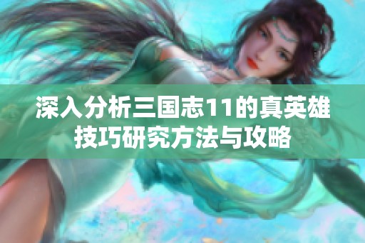深入分析三国志11的真英雄技巧研究方法与攻略