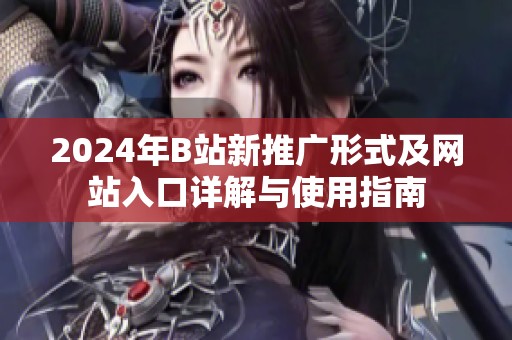2024年B站新推广形式及网站入口详解与使用指南