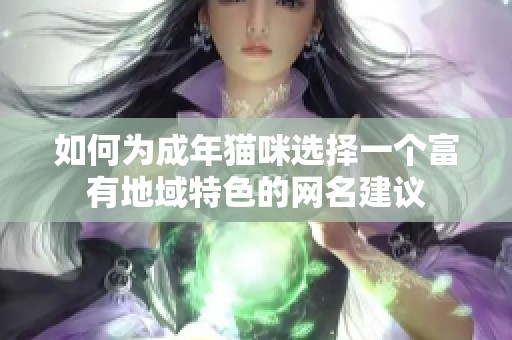 如何为成年猫咪选择一个富有地域特色的网名建议