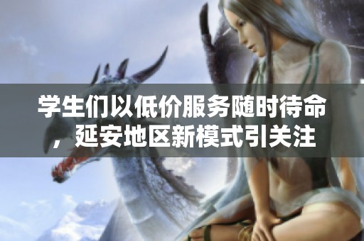 学生们以低价服务随时待命，延安地区新模式引关注