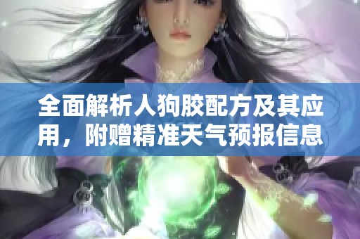 全面解析人狗胶配方及其应用，附赠精准天气预报信息